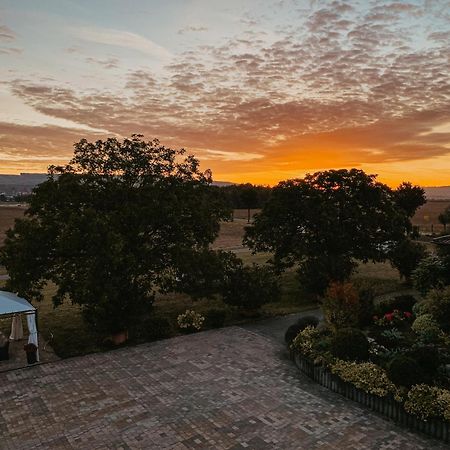 Weingut U. Gaestehaus Vogt-Fehlinger Biebelsheim Luaran gambar
