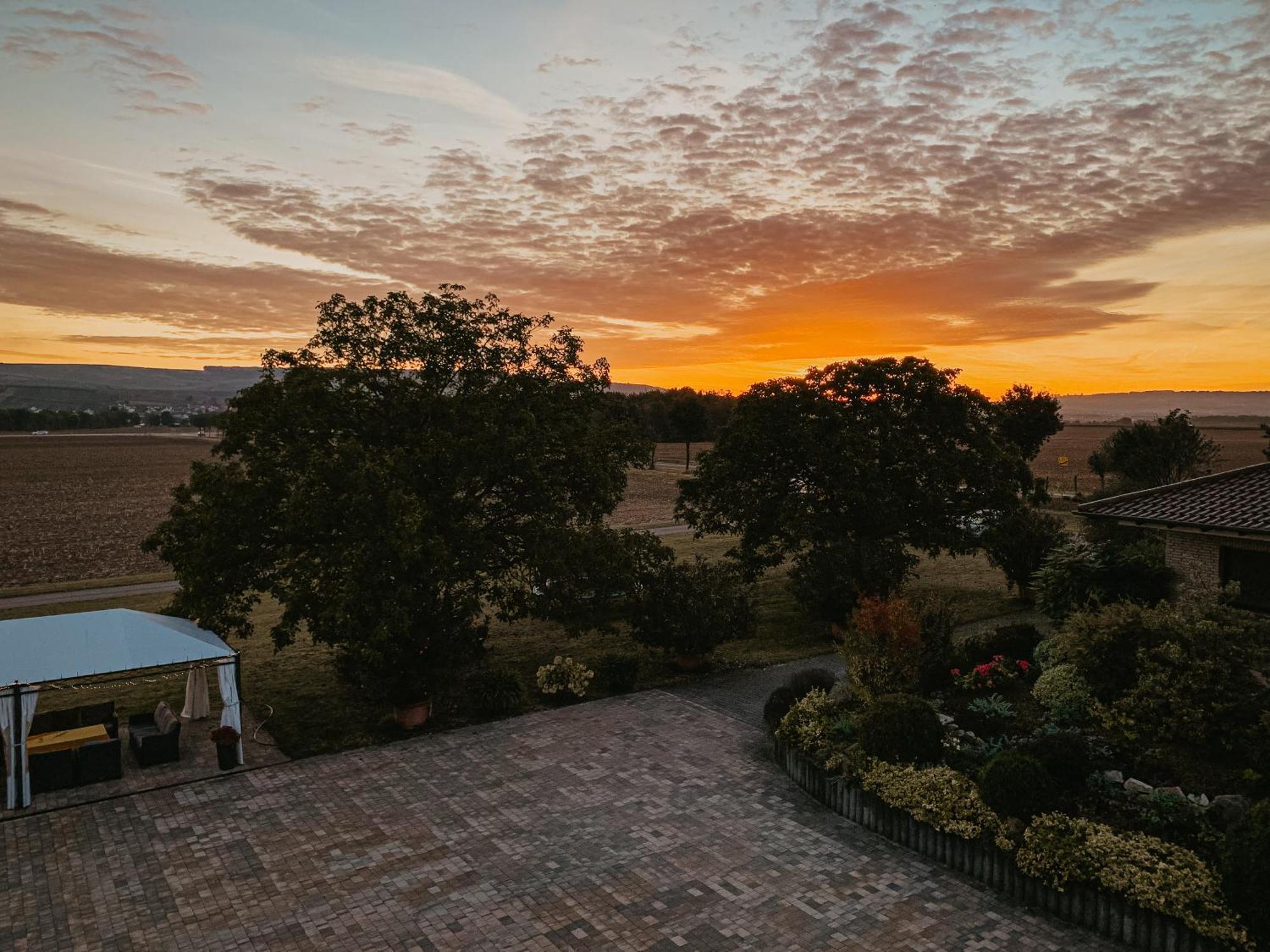 Weingut U. Gaestehaus Vogt-Fehlinger Biebelsheim Luaran gambar